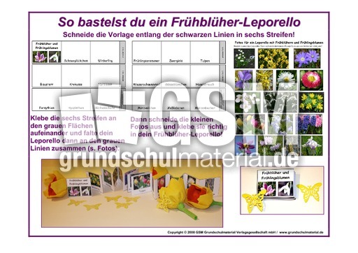 1-Anleitung-Leporello-Frühblüher.pdf